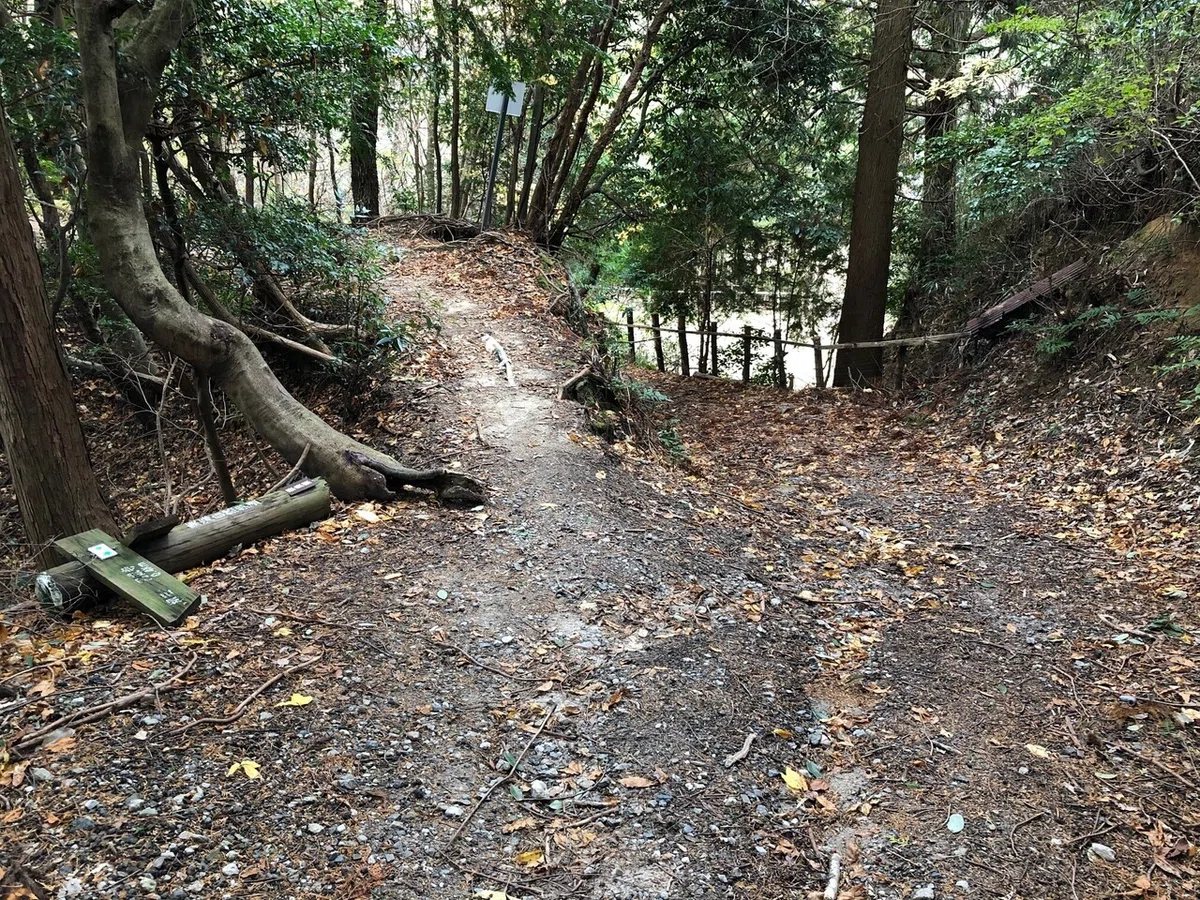 分岐2_柳生街道