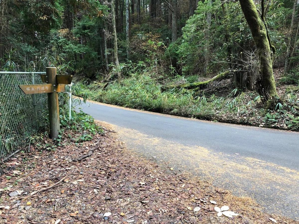 県道との合流_柳生街道