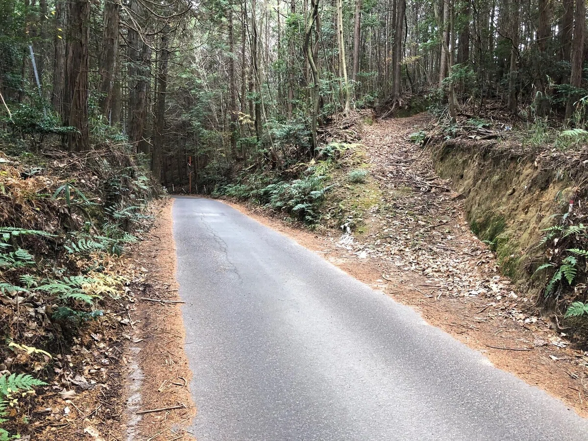県道184_柳生街道