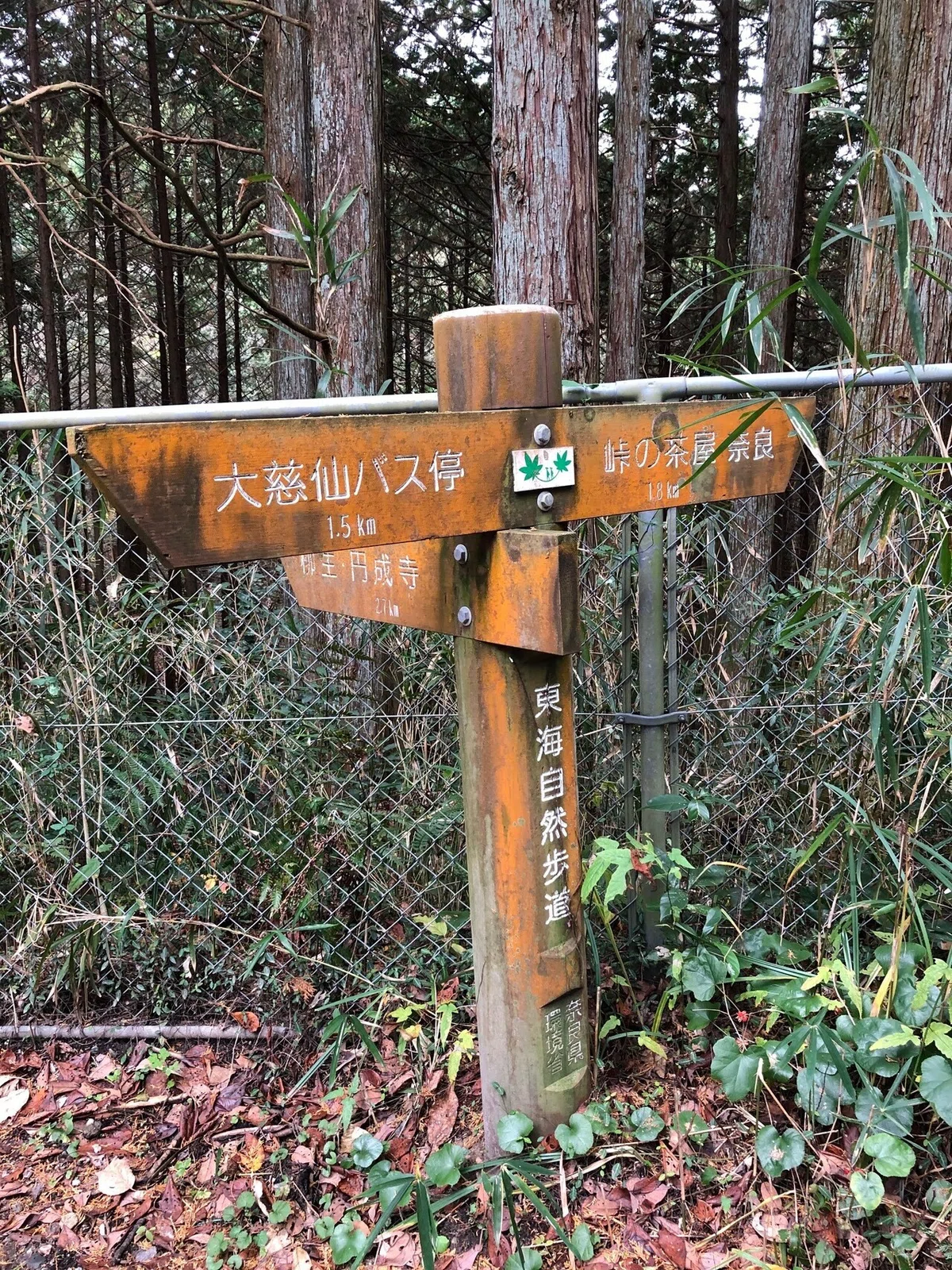 県道の道標_柳生街道