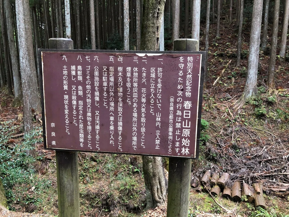 春日山原始林看板_柳生街道