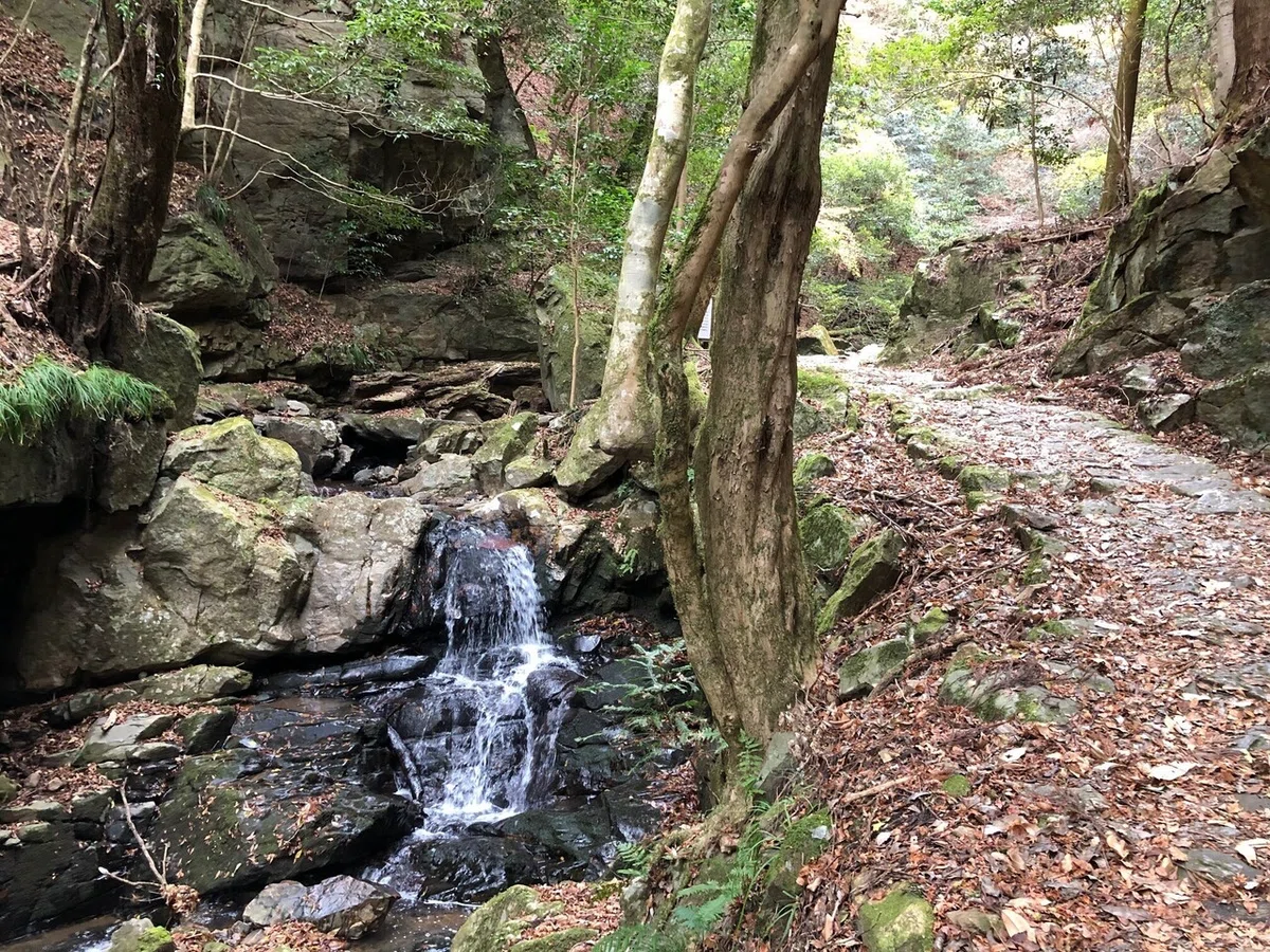 沢沿いの道_柳生街道