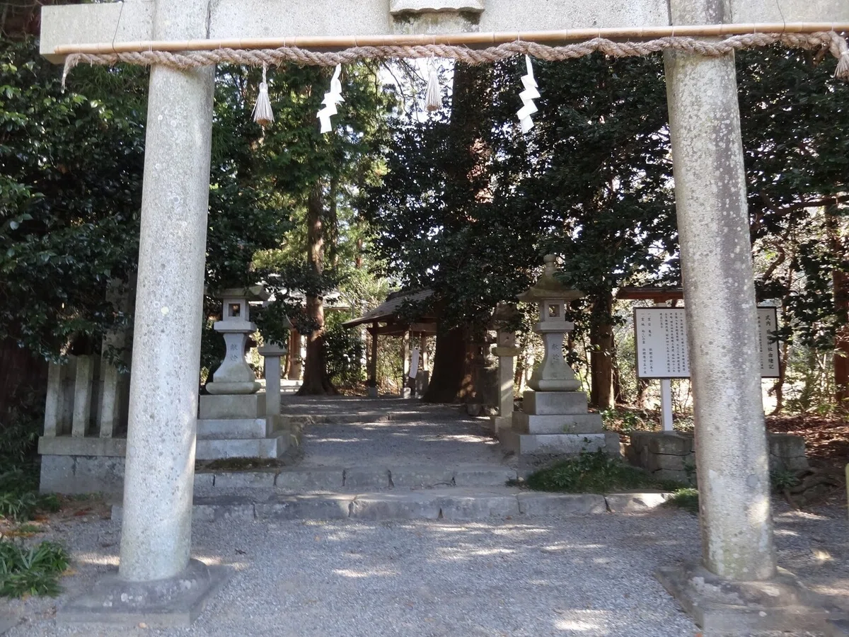 画像2