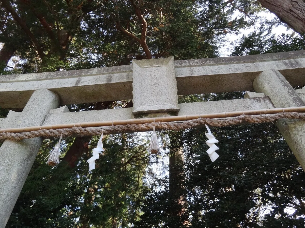画像3
