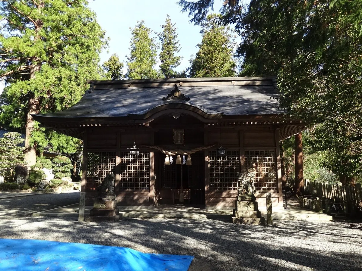 画像5