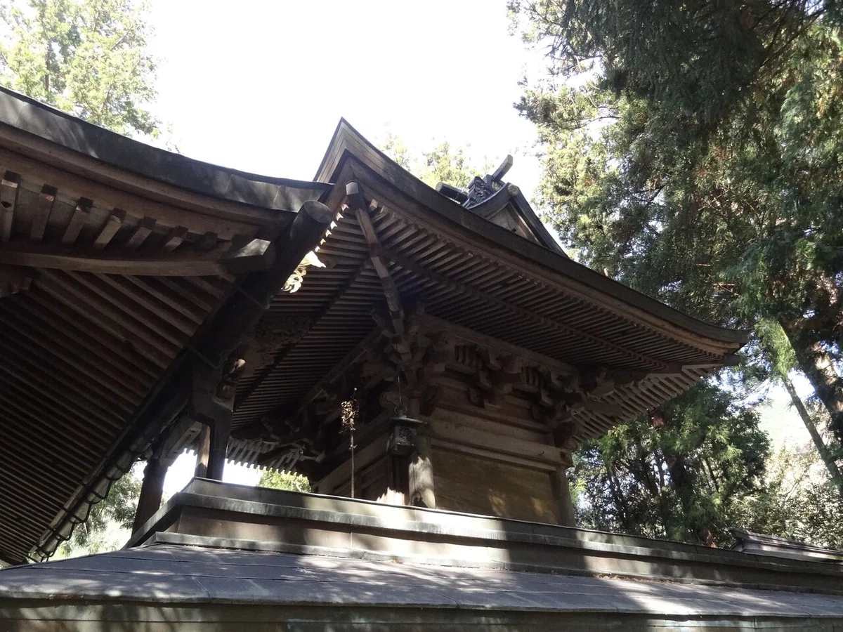 画像7