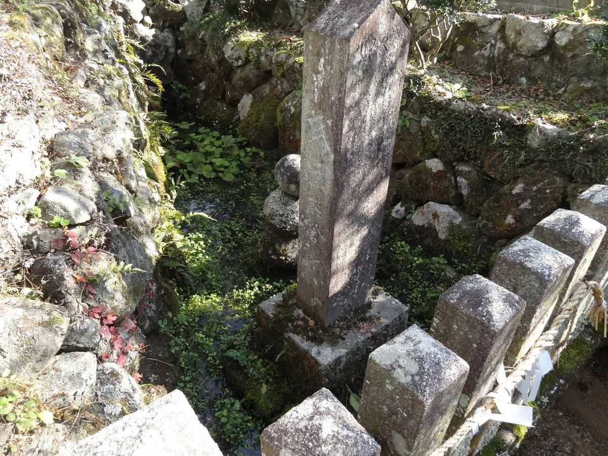 画像9