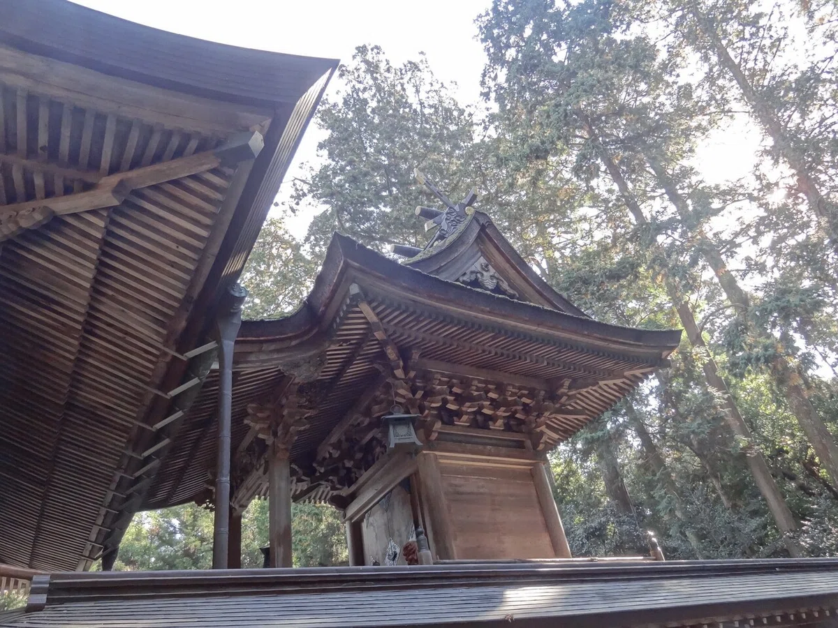 画像20