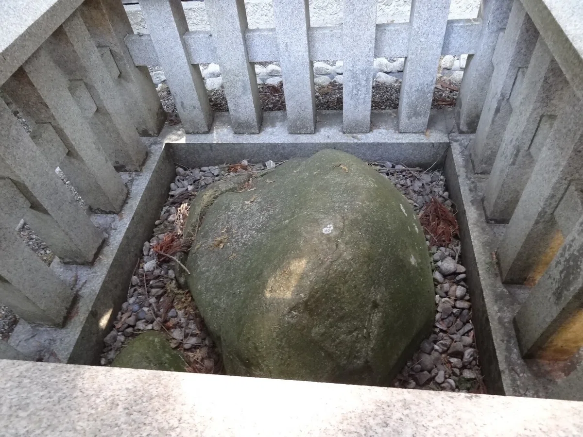 画像24