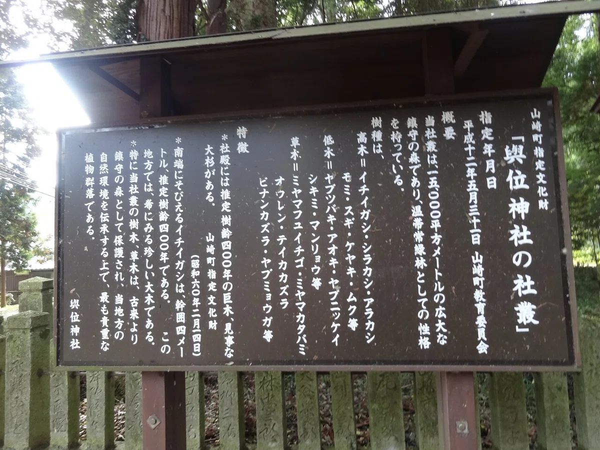画像30