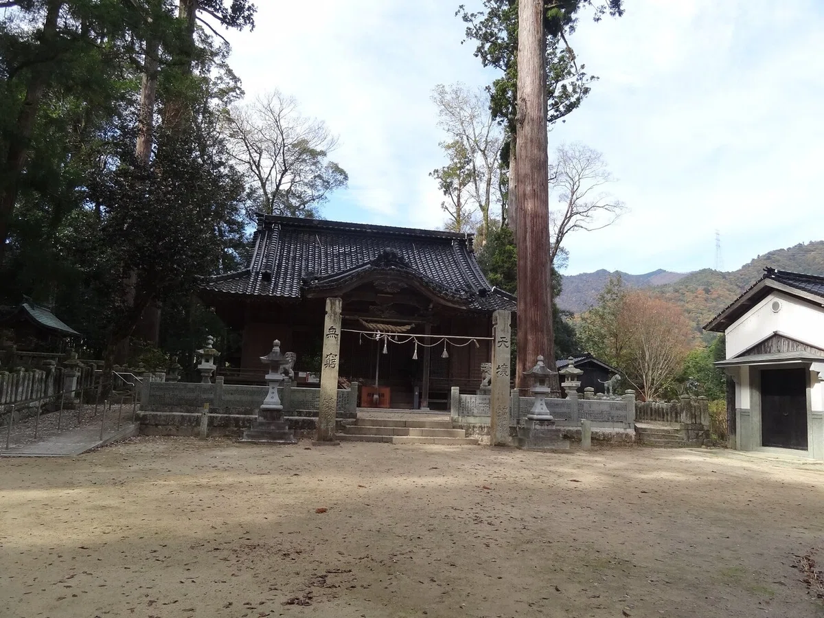 画像31
