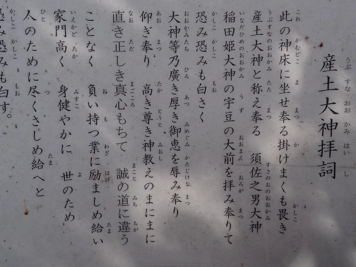 画像49