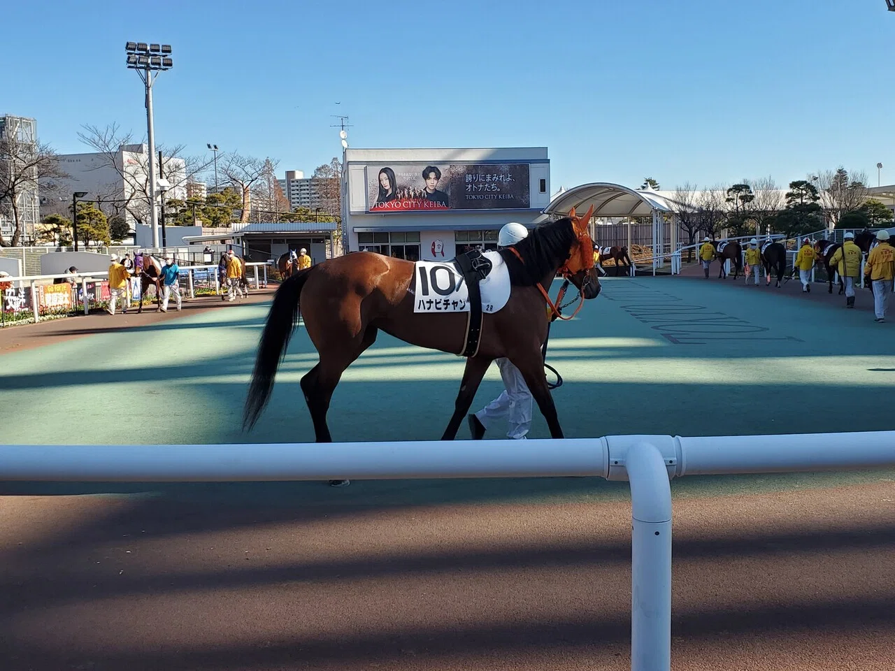 年の暮れ・大井競馬場｜内田S