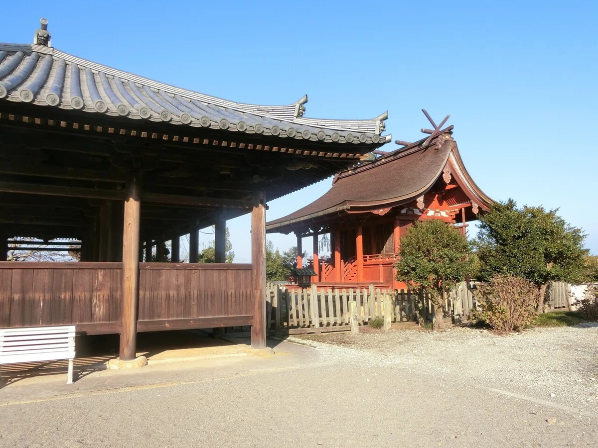 画像5