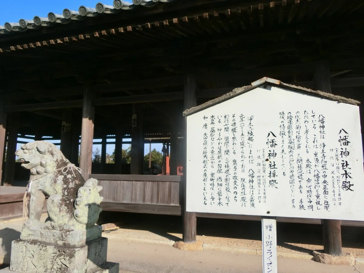 画像10