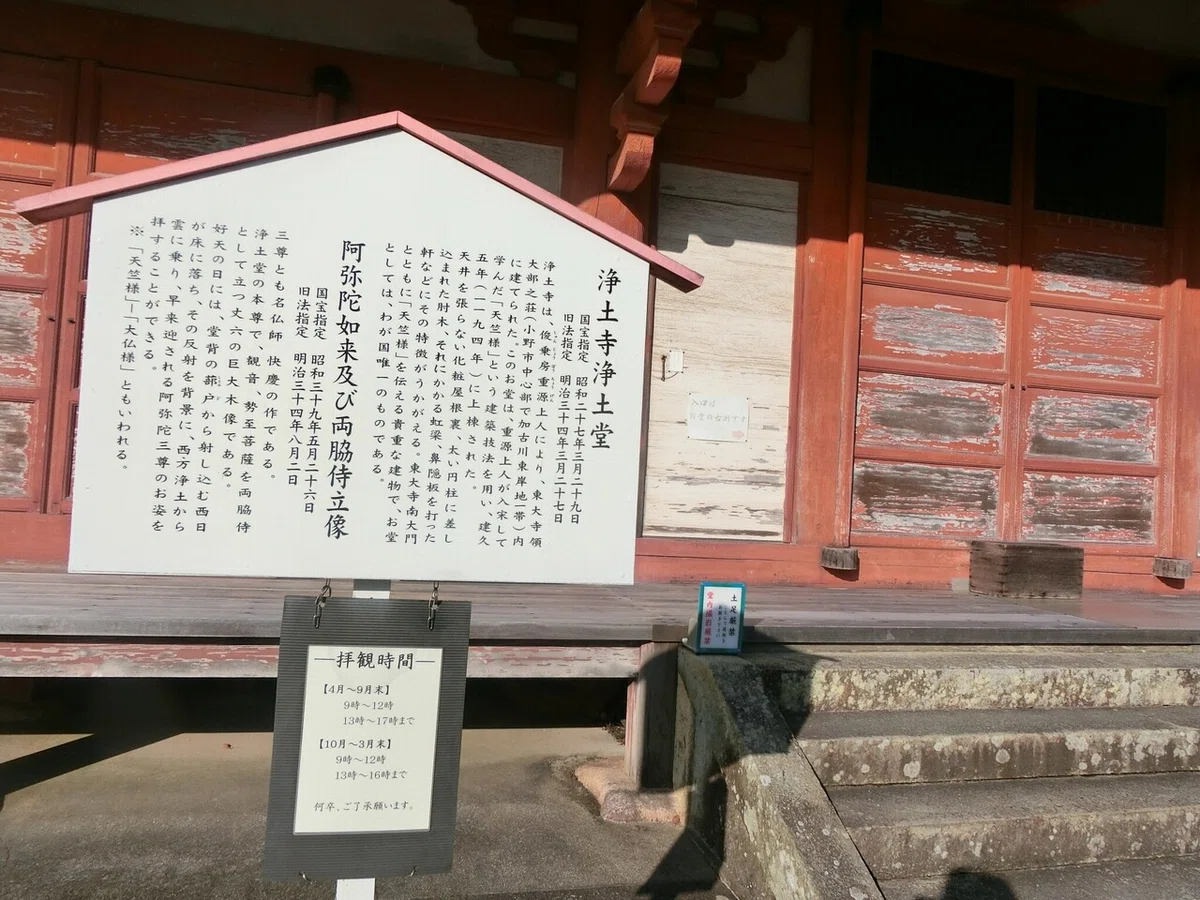 画像11