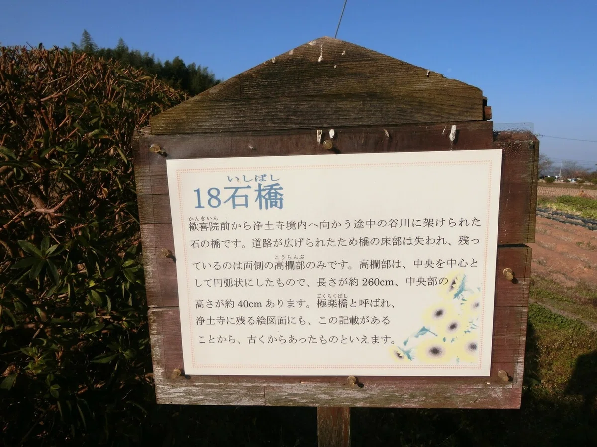 画像18