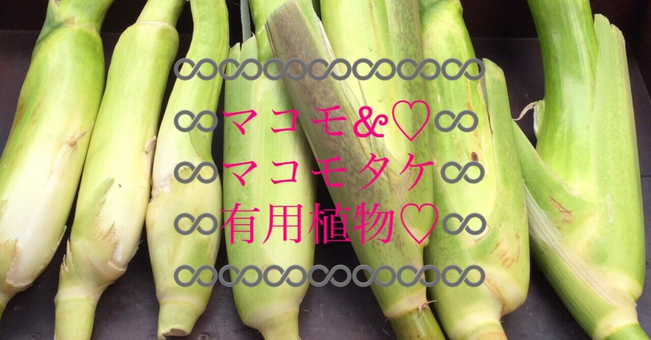 すごい草！】マコモダケつくってみた【マコモ&マコモタケ】の