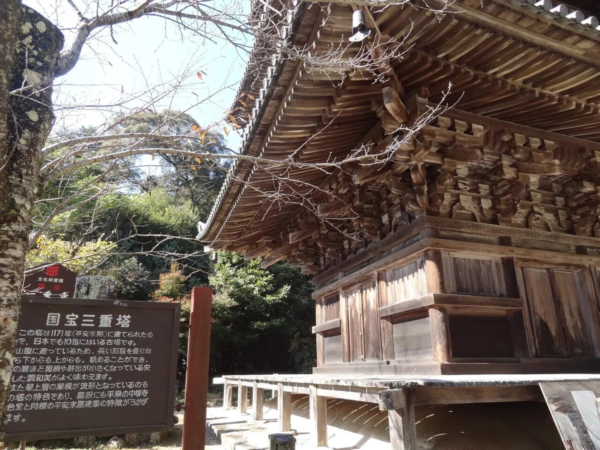 画像4