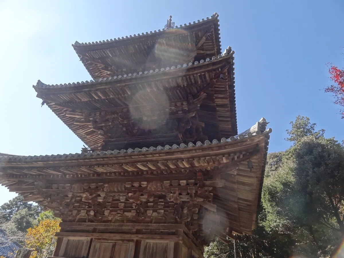 画像5
