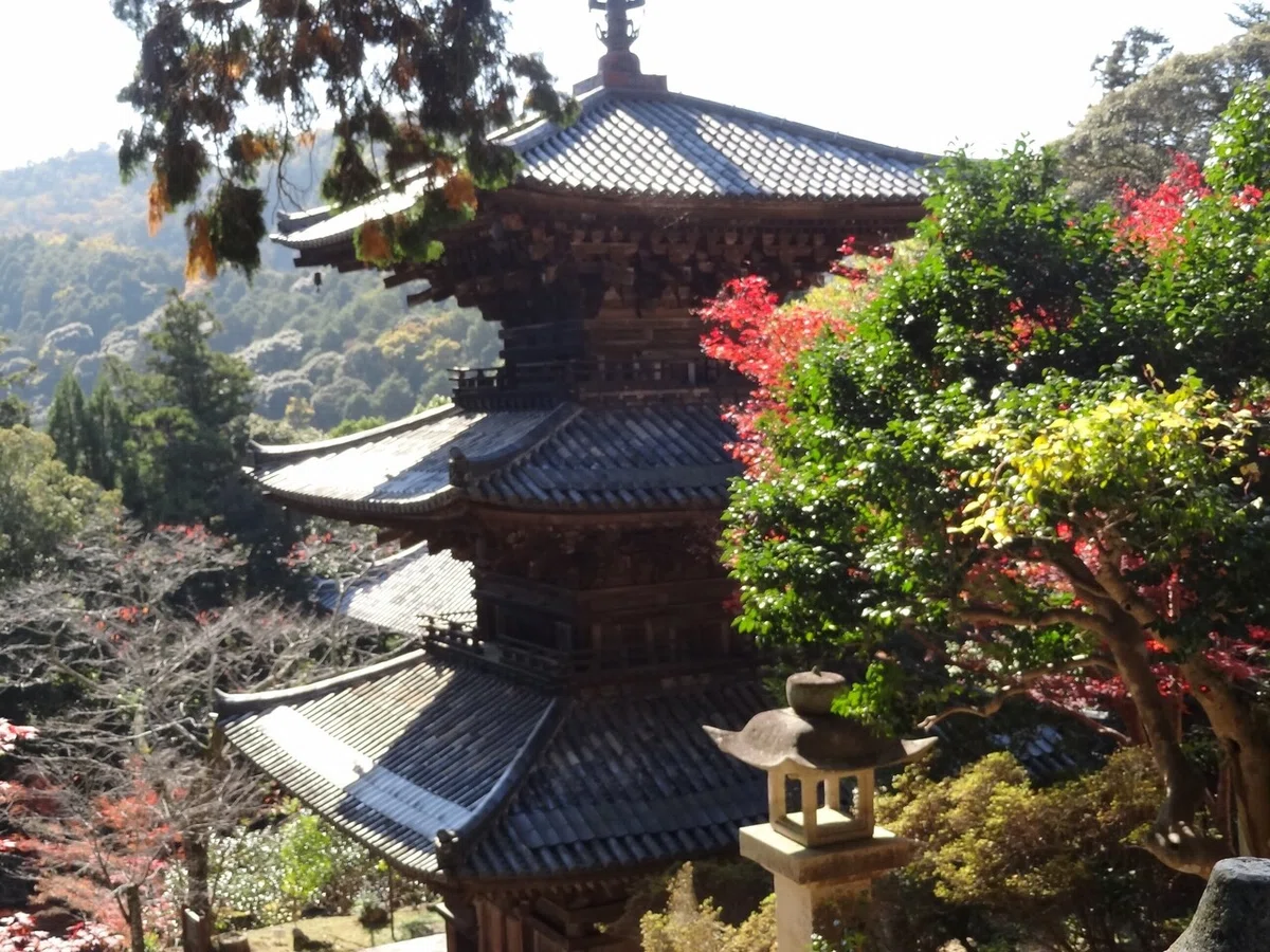 画像6
