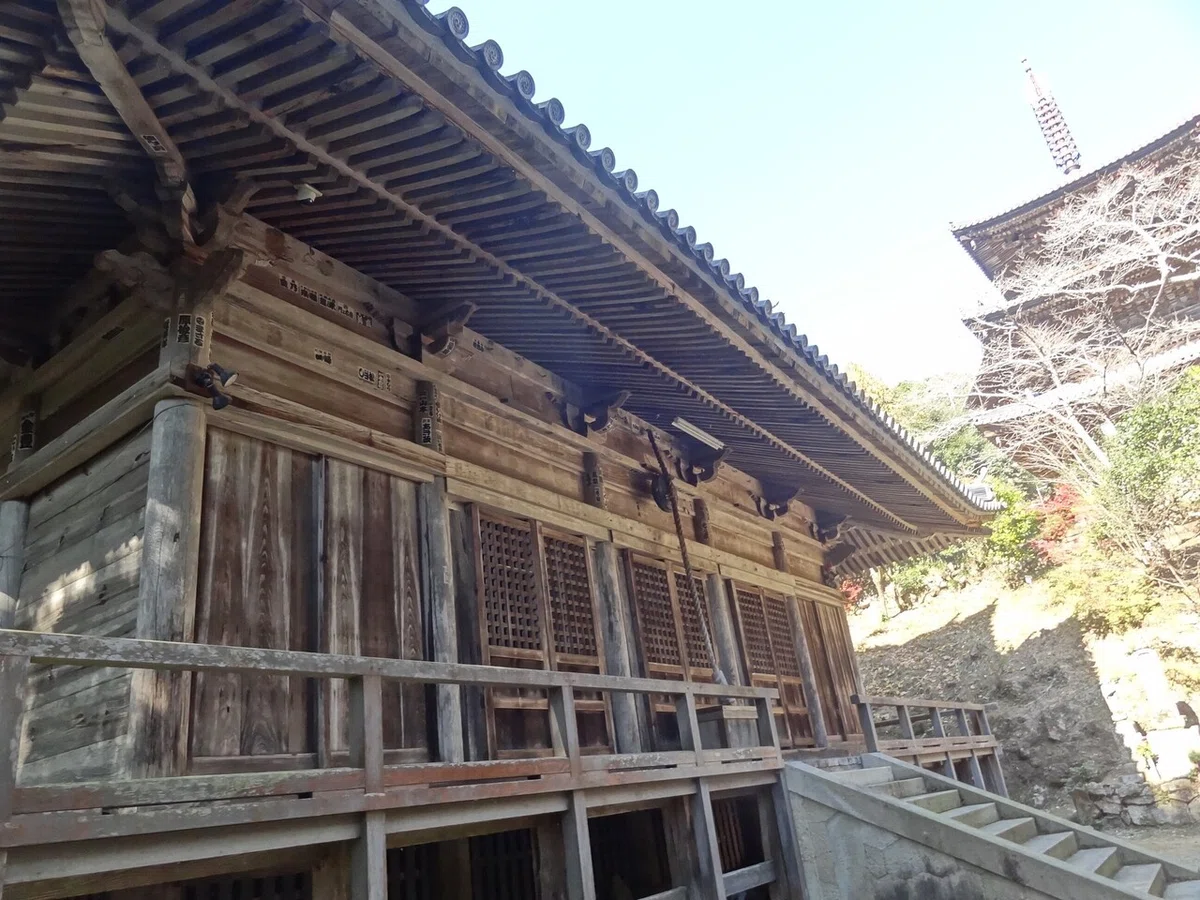 画像8