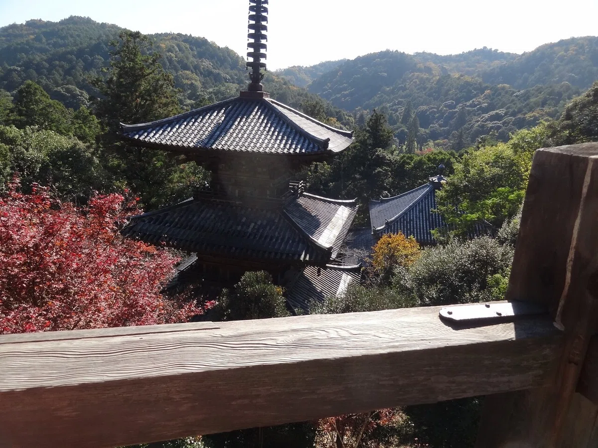 画像10