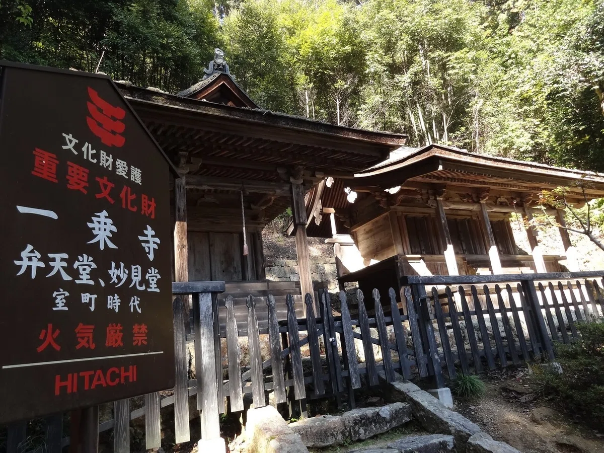画像13