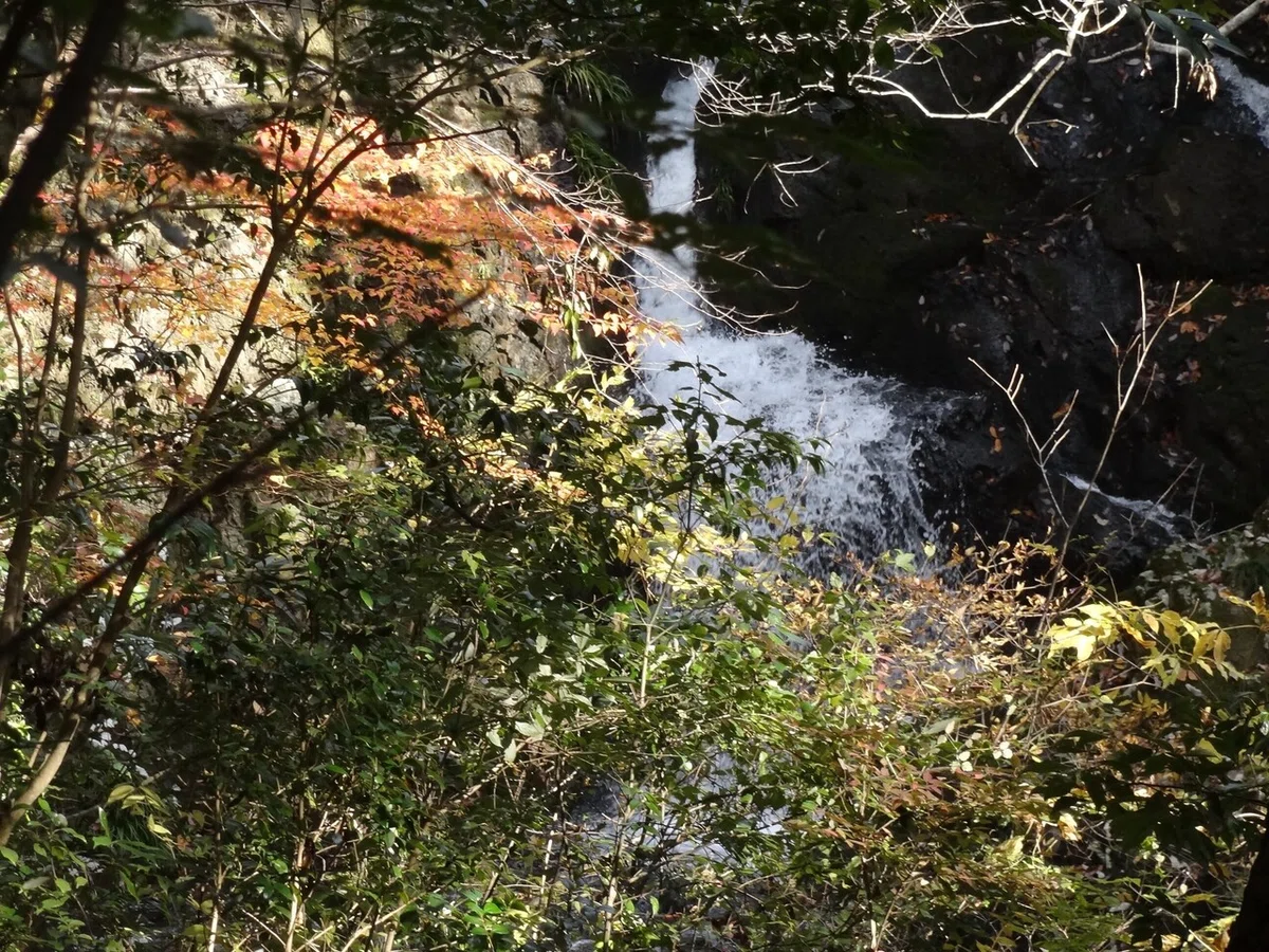 画像2