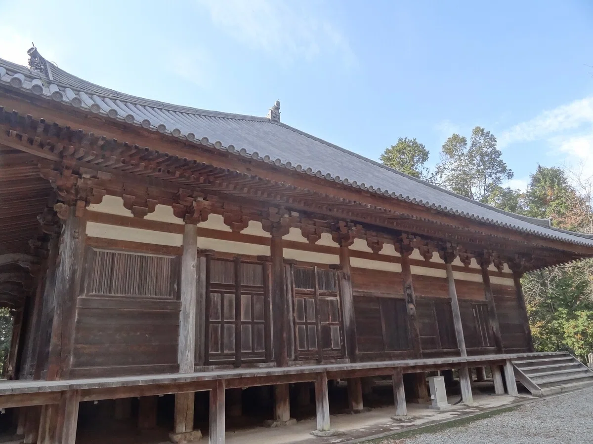 画像8