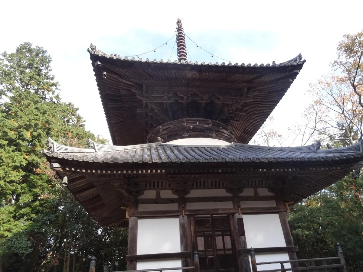 画像9