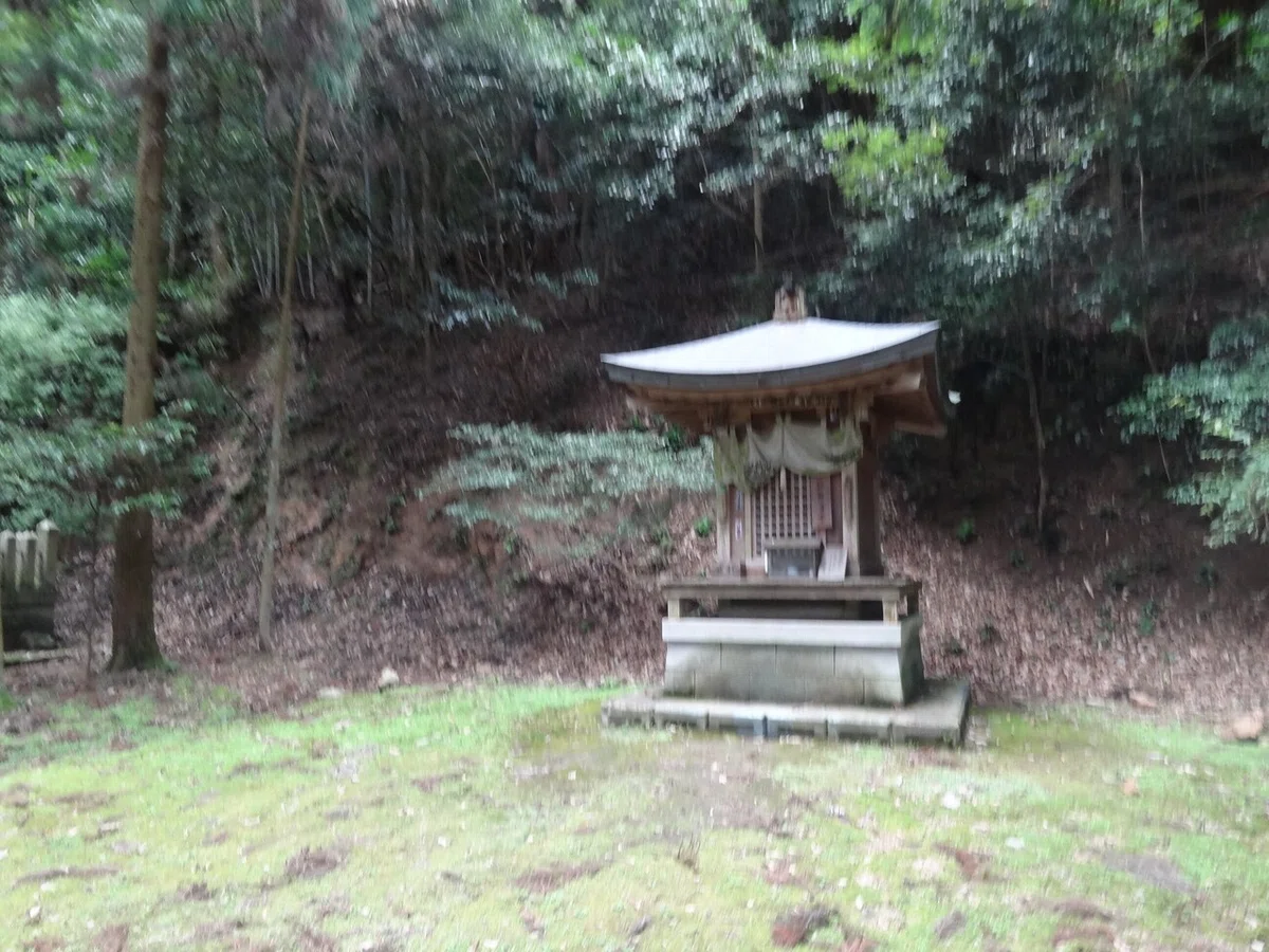 画像11