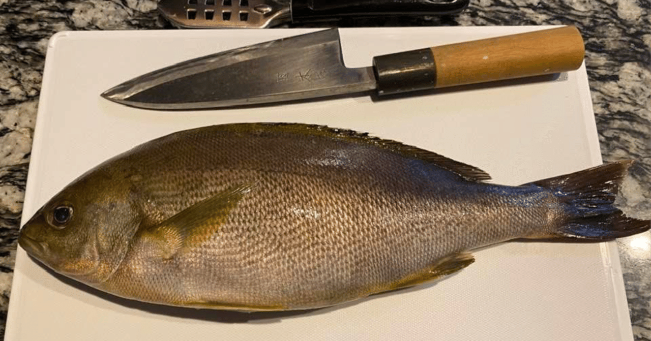 わざわざ自分で魚を捌く それがどう面白いのか 岩佐 文夫 Note
