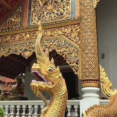 平沢進「景観する循環カフェ」｜kermit_nawoko