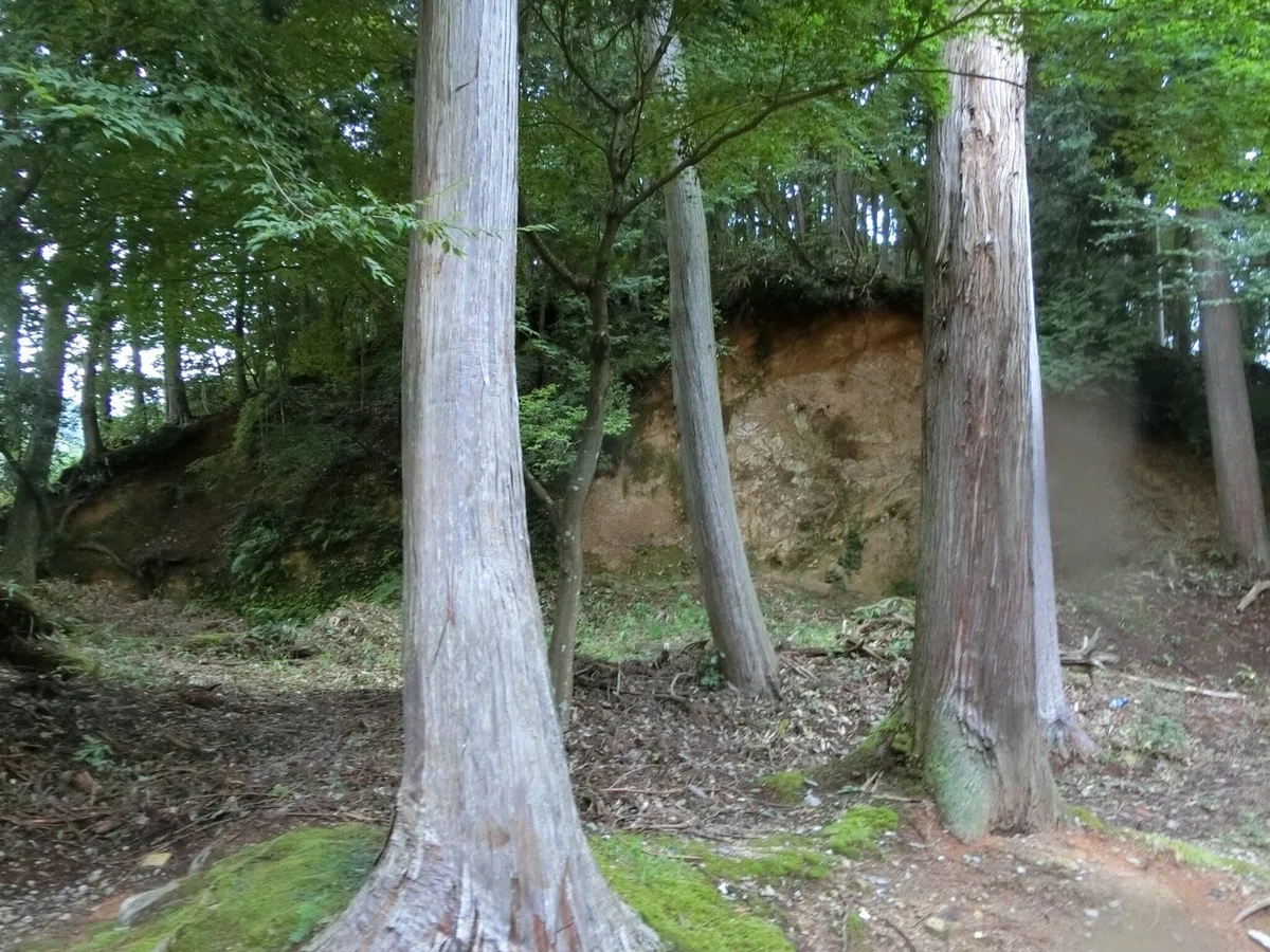 画像13