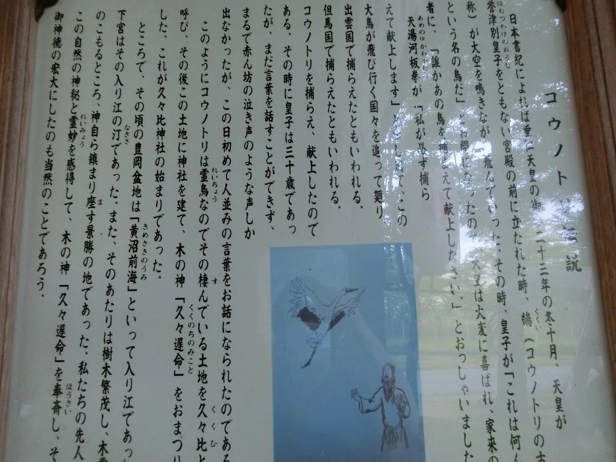 画像18