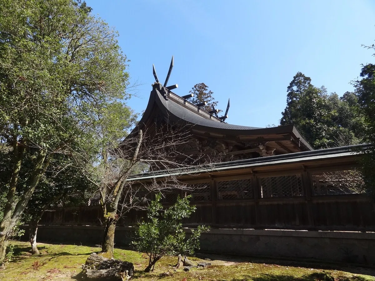 画像4