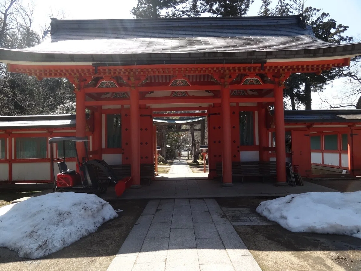 画像7