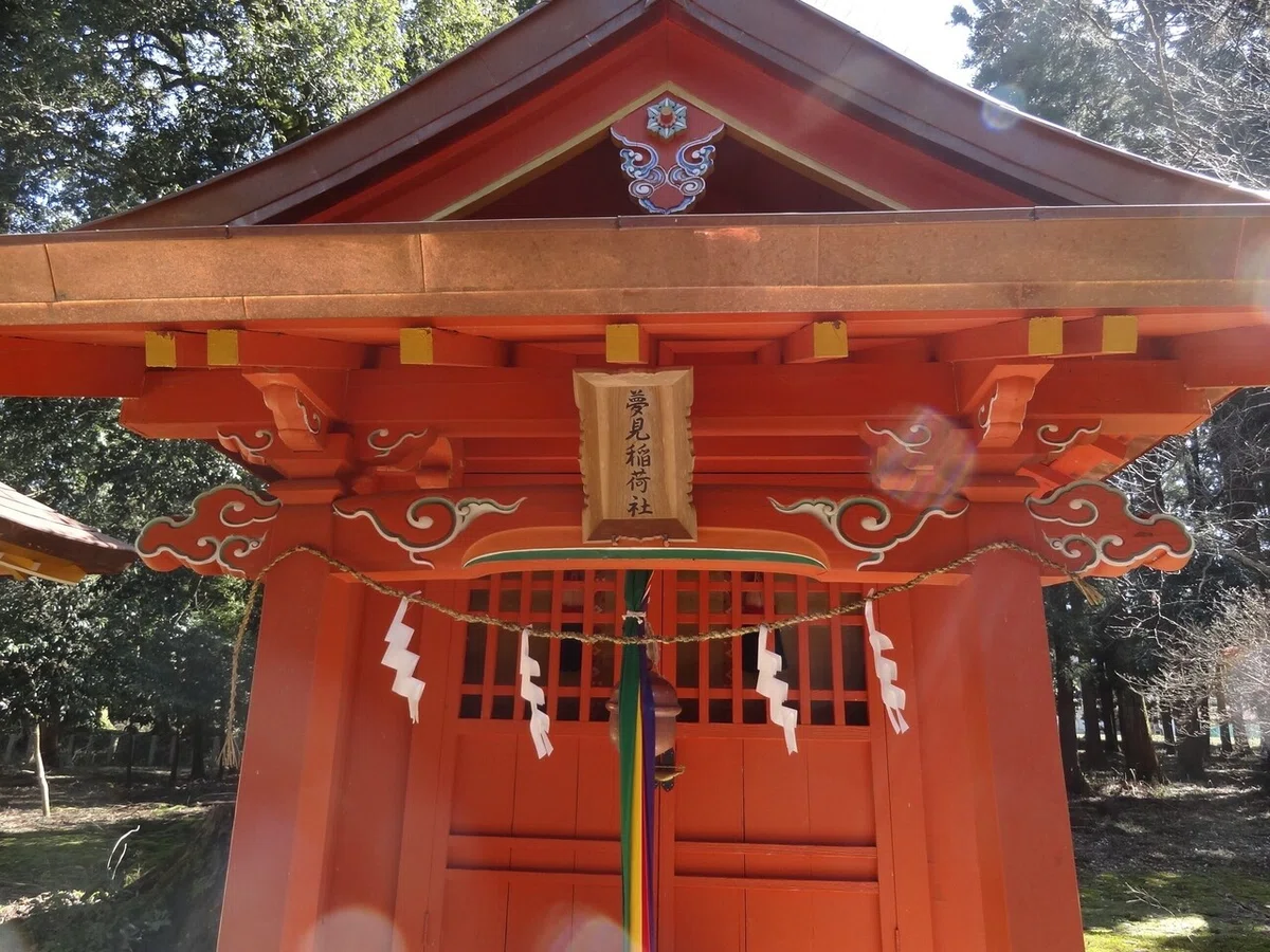 画像8