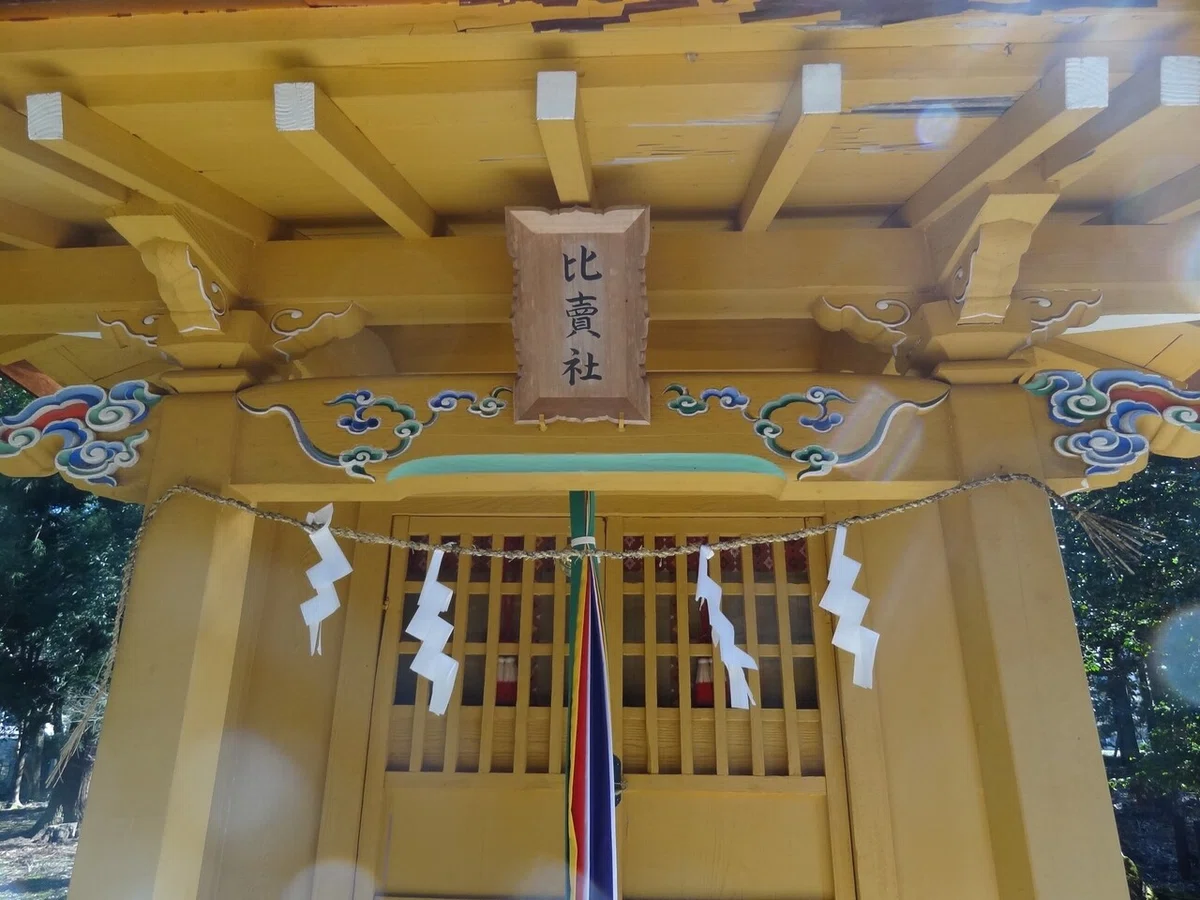 画像9