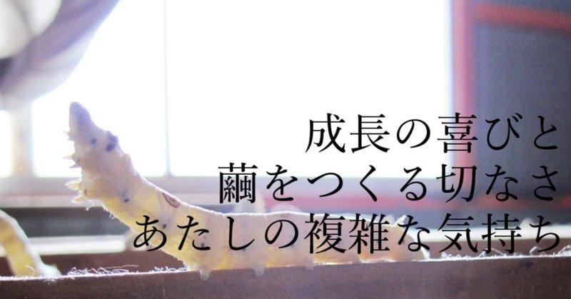 金髪女が行く 仕立屋と二万頭の蚕達とあたしの母性 13日目 仕立屋と職人 Shitateya To Shokunin Note 金髪女が行く 仕立屋と二万頭の蚕達とあたしの母性 13日目 仕立屋と職人 Shitateya To Shokunin Note