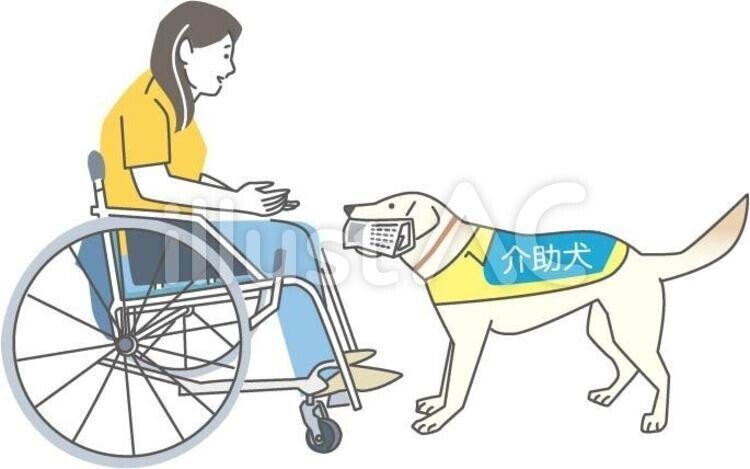 新作 イラスト無料材 患者と介助犬 イラスト素材を描いてます Note