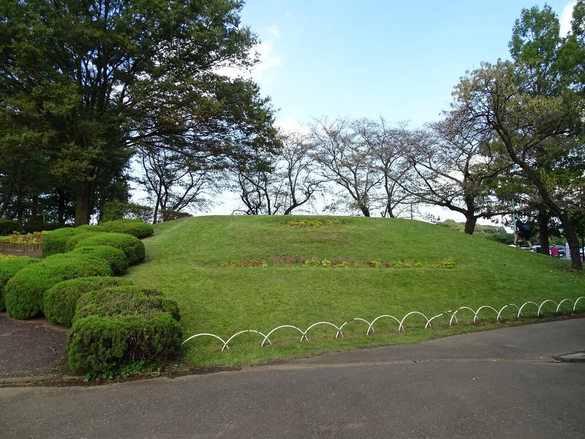 画像5