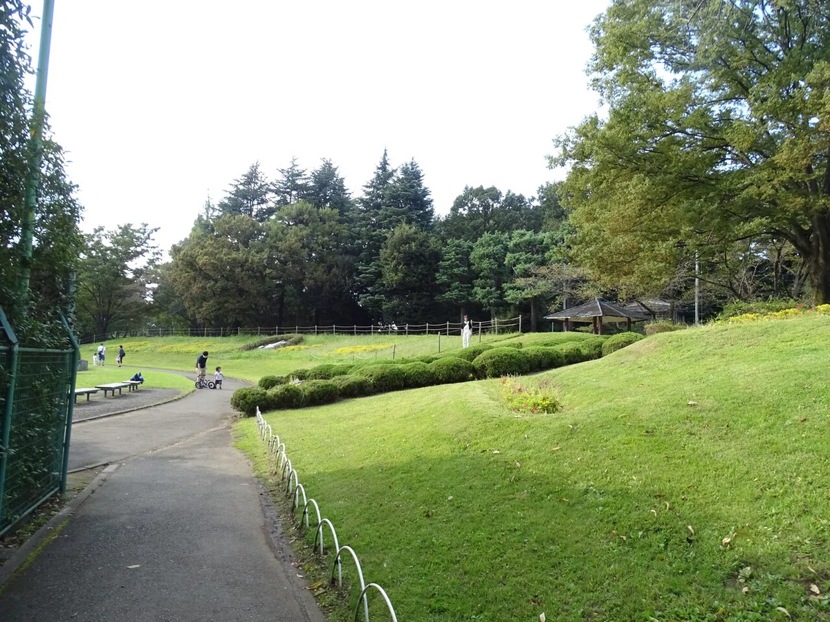 画像3