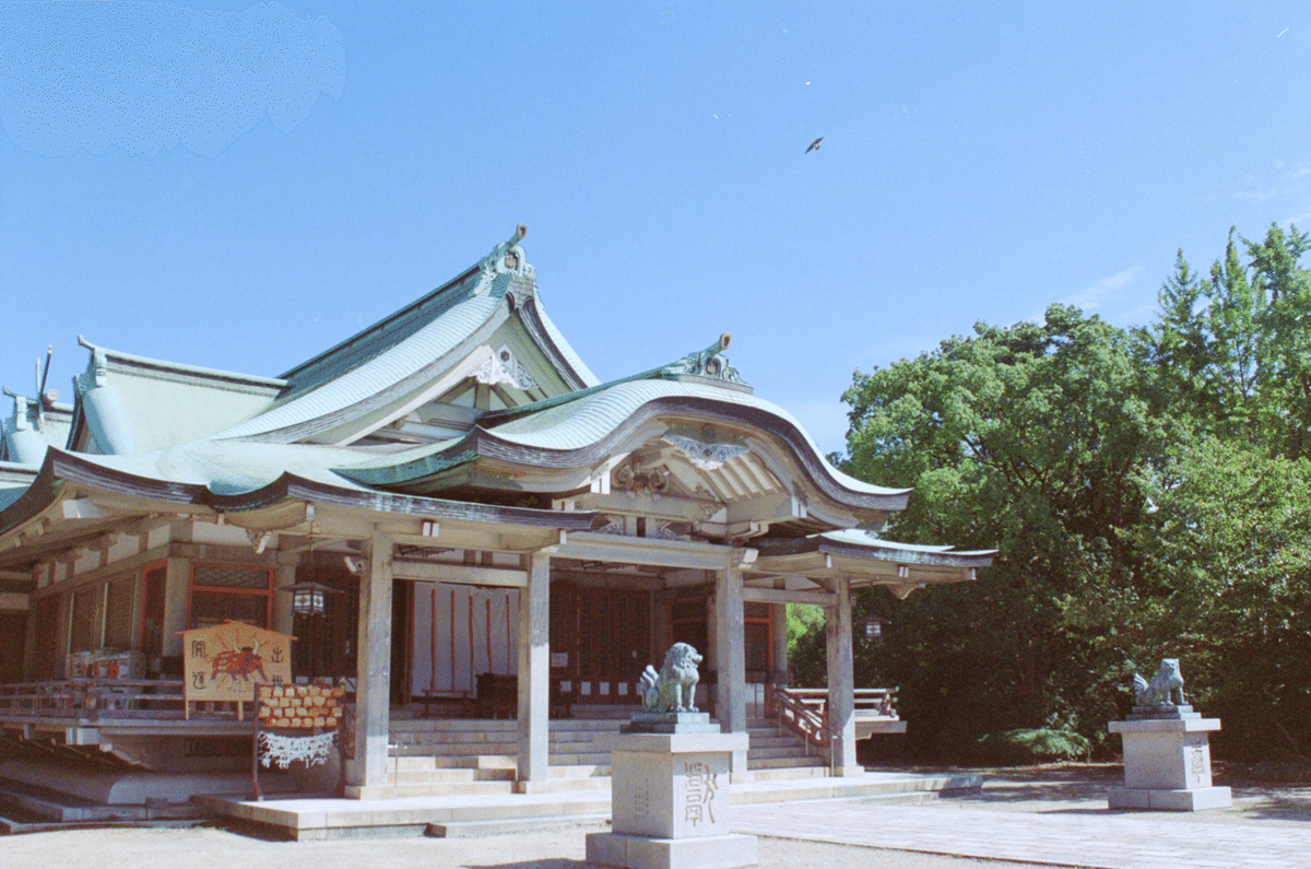 進光社 フジカラーLEDビュアー 4×5 写真 ネガ FUJICOLOR LEDビュアープロ 4X5N | アサヌマネットショップ