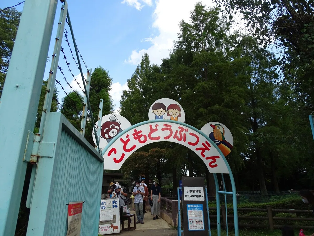 画像8