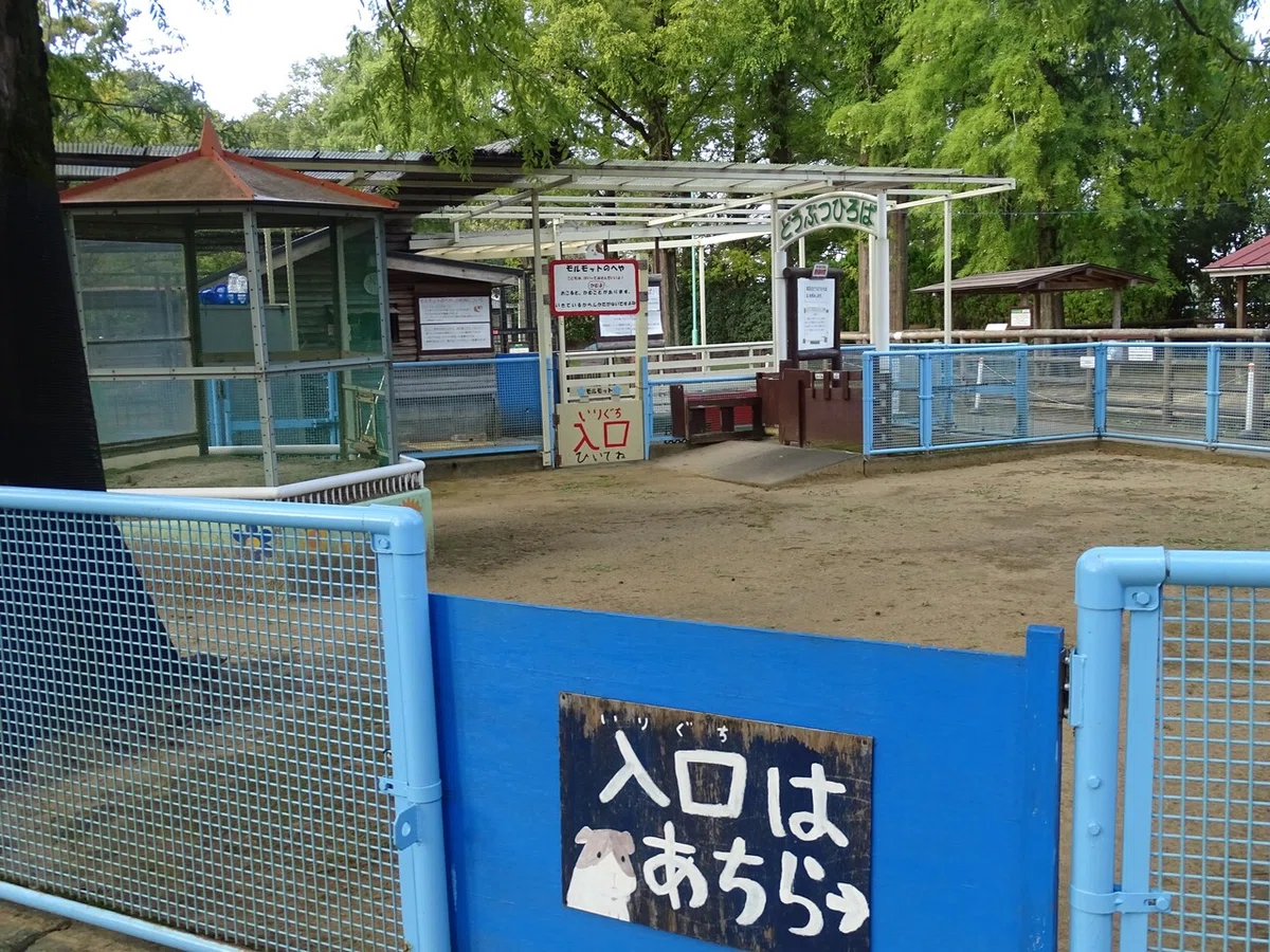画像14
