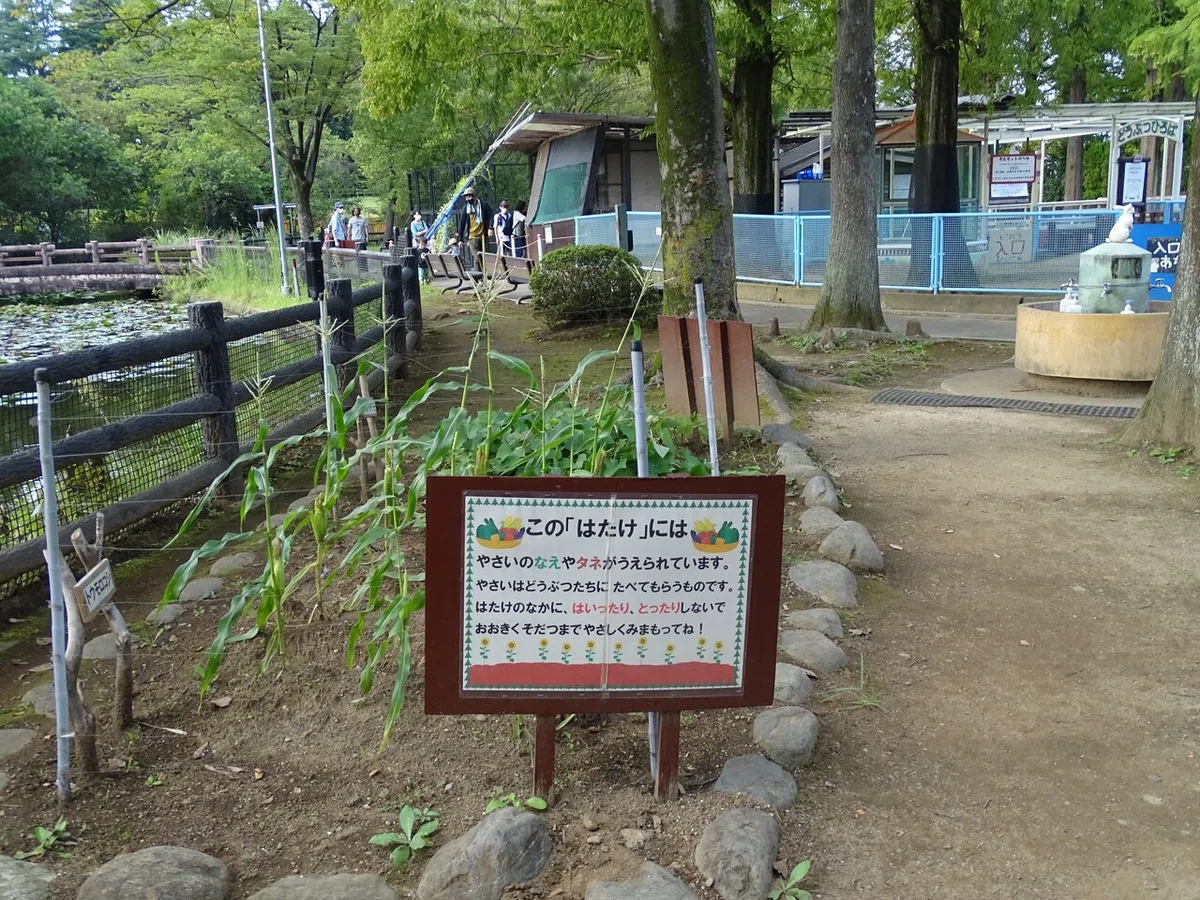 画像13