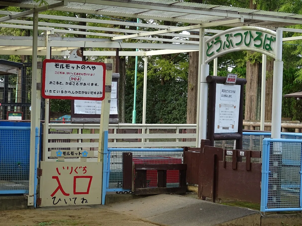 画像15