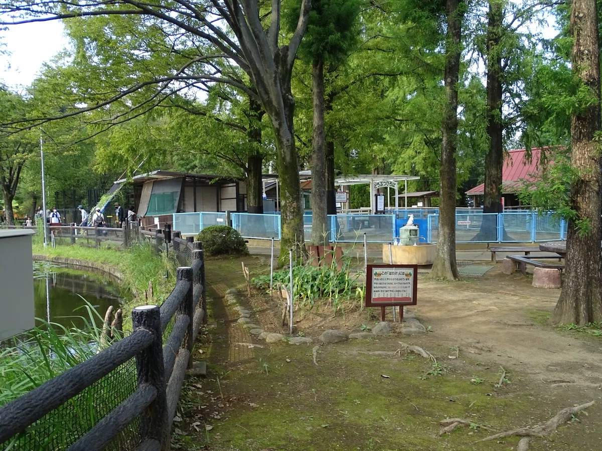 画像12